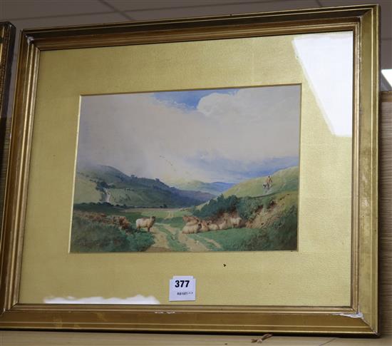 Edward Thatcher, watercolour, sheep in landscape 25 x 35cm.
